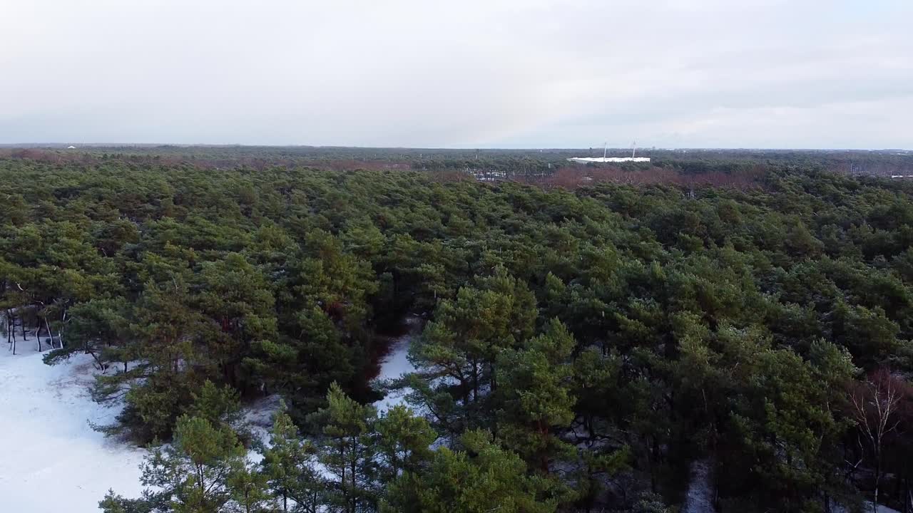 aérea mientras nevaba en el paisaje forestal de lommel, con edificios en el fondo
