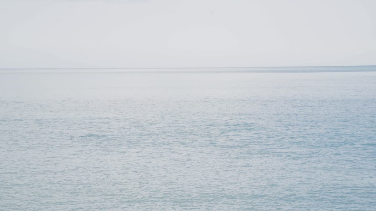 A large pod of dolphins swimming along Palliser Bay in Wairarapa, New Zealand.