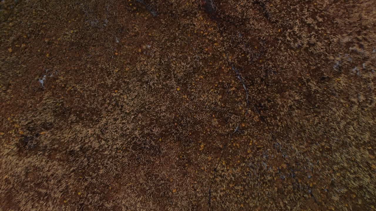 vista abstracta sobre marismas con arrecifes que se balancean lentamente - vista aérea de drones