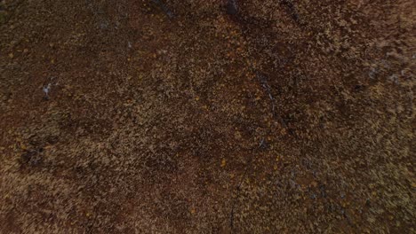 vista abstracta sobre marismas con arrecifes que se balancean lentamente - vista aérea de drones
