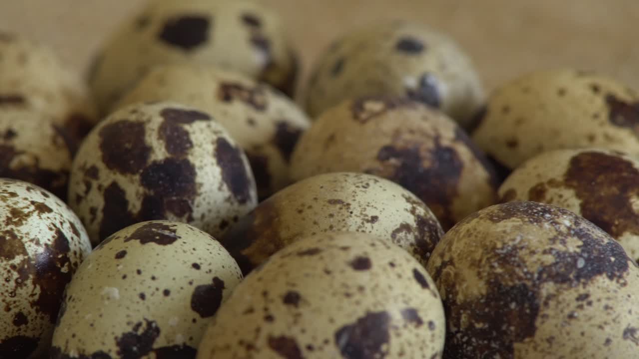 Uncooked quail eggs in pack. Rotating and closeup. Nobody