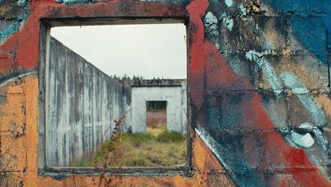 abandoned-roofless-cement-structure-in-a-field-of-serrated-tussock-grass-static-detail-shot