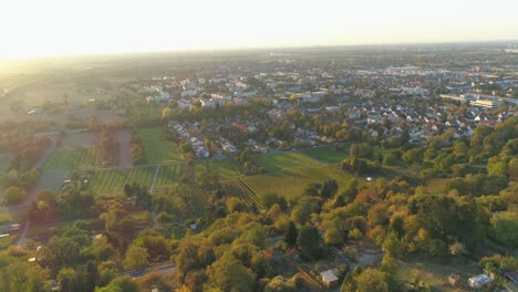imágenes aéreas de drones ciudad en el bosque