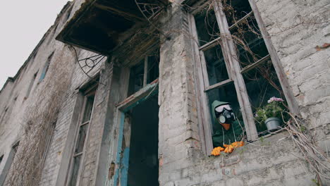 human in respirator looking from ruined building with broken windows. flower pot and ecologist in the abandoned place after biological attack.