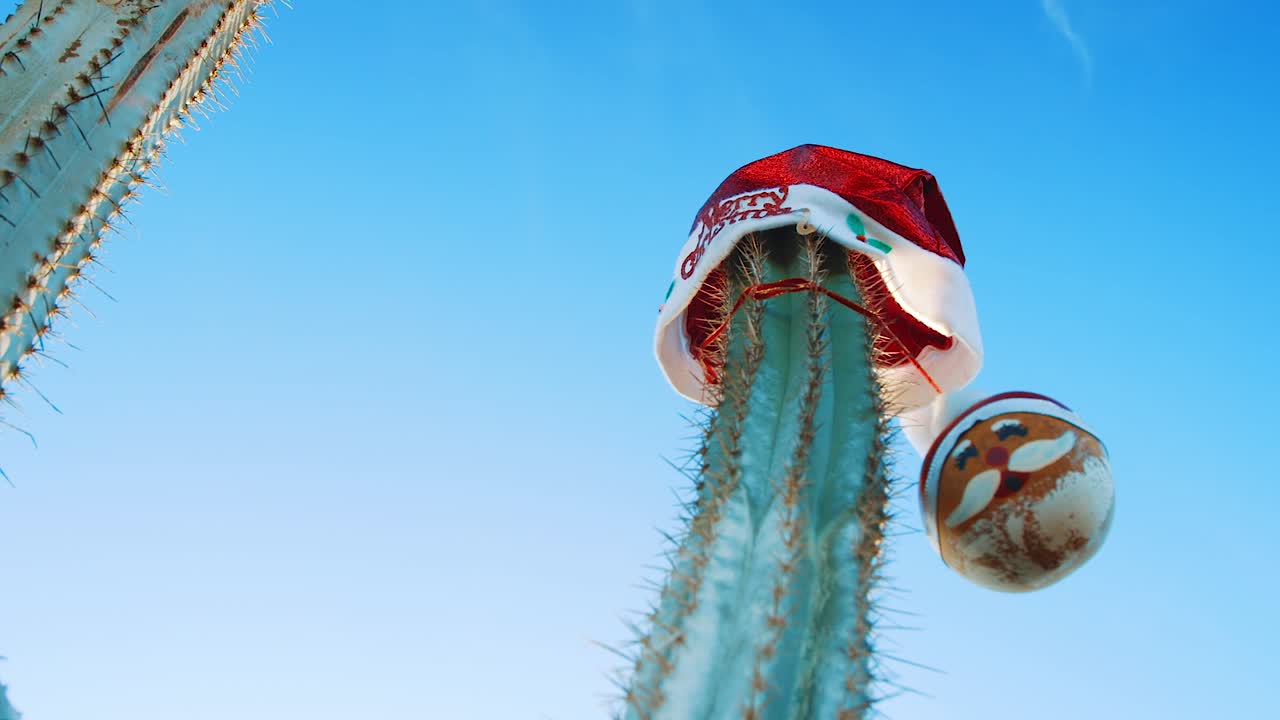 큐라소 - 푸른 하늘 아래 메리 크리스마스 인사와 산타클로스 볼이 있는 빨간 크리스마스 모자를 쓰고 있는 선인장 - 클로즈업 샷