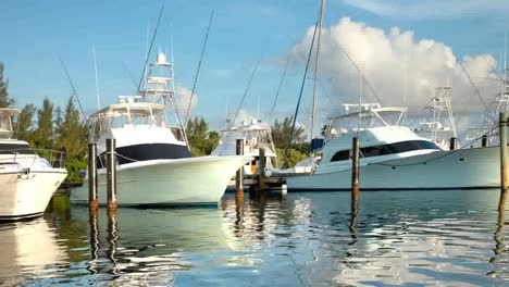 isla mujeres boats 00