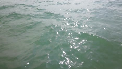 바다에서 제트 스키