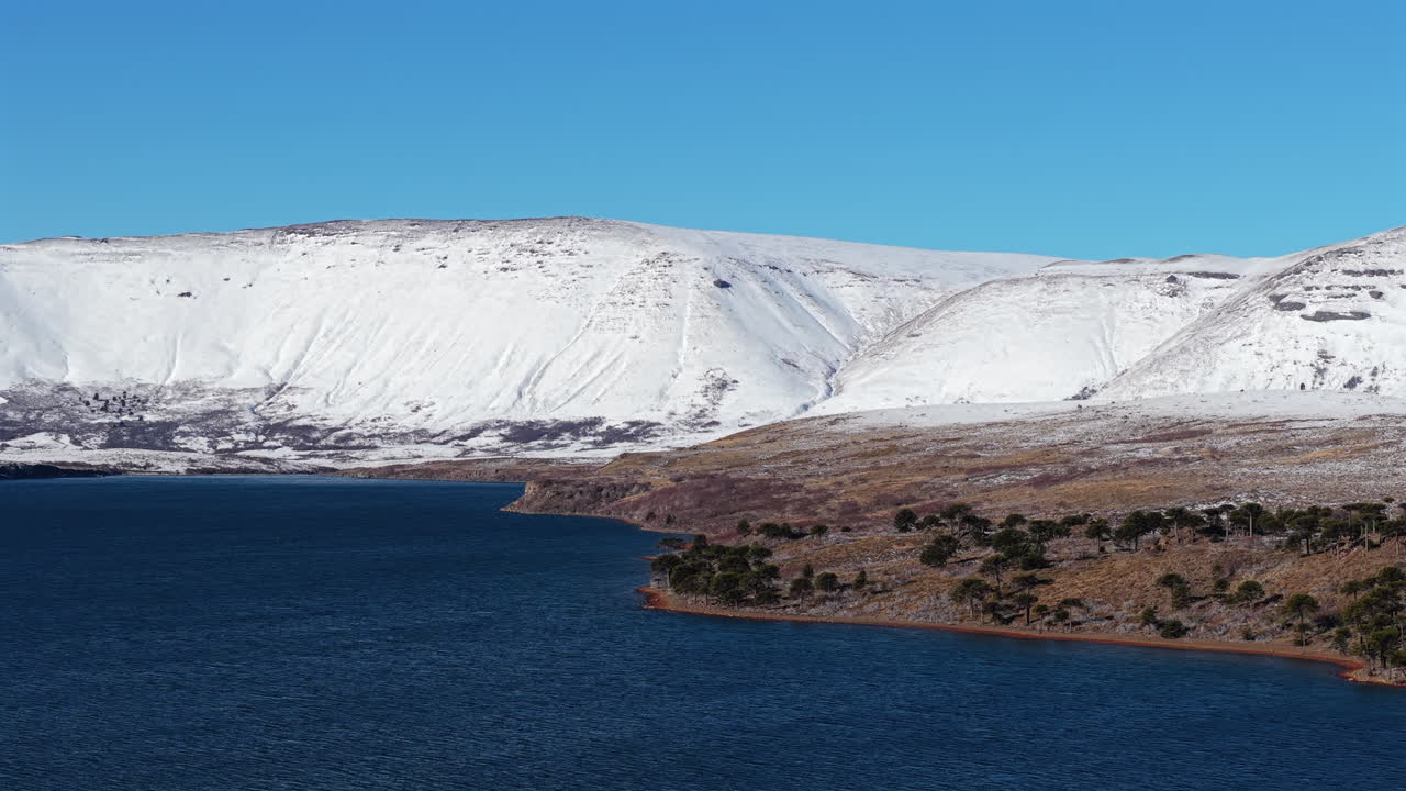 Wide aerial trucking along snow-covered Andes mountains towering over the deep blue Lake Caviahue and Araucaria trees in Patagonia Argentina