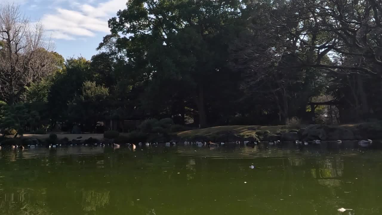 A serene pavilion by a reflective pond, surrounded by lush trees and city buildings under a clear sky.