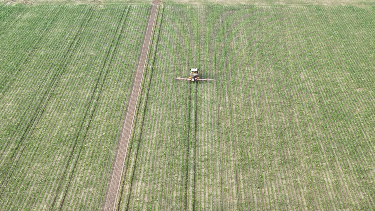 Agricultural sprayer tractor applies crop protection treatments to young green soybean plants growing in expansive cultivated farmland during daytime