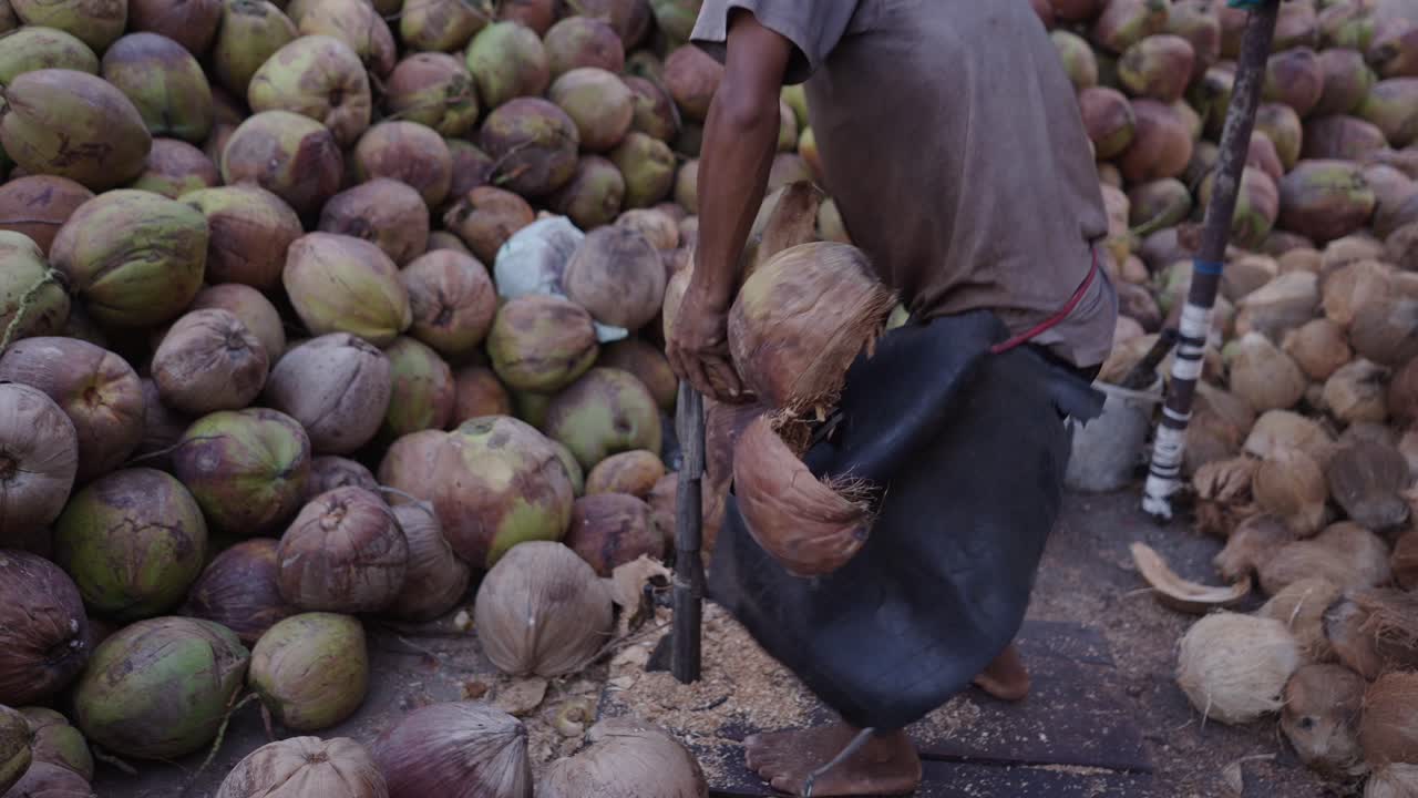 Manual Coconut Husking and Processing
