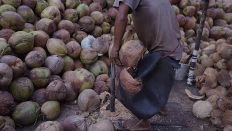 manual coconut husking and processing