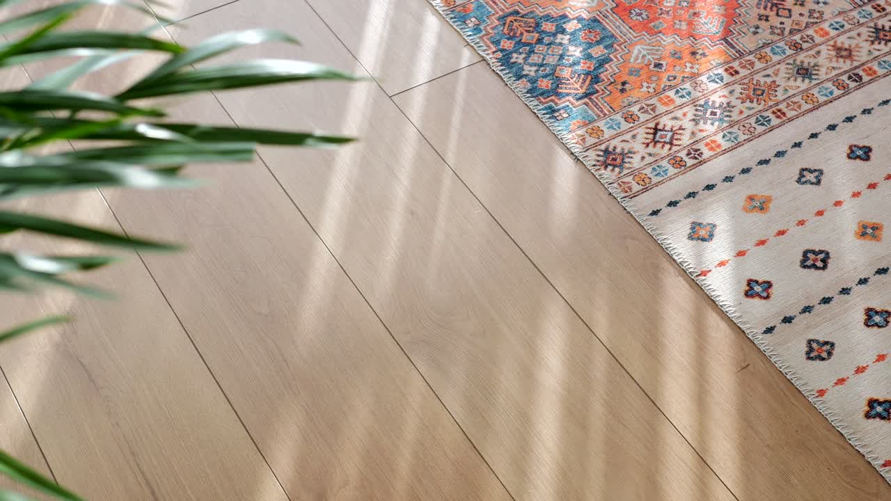 Sunlit Wooden Floor with Colorful Patterned Rug and Plant