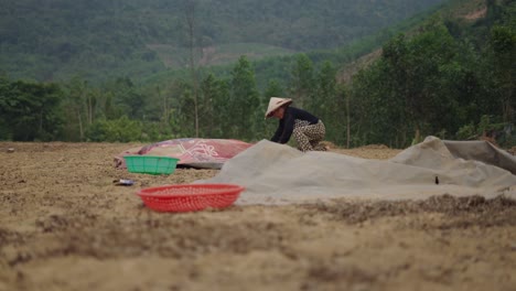 woman farmer working in field