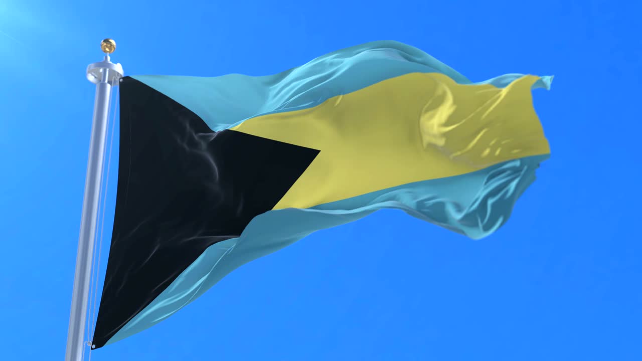 바하마의 발이 파란 하늘과 함께 느리게 바람에 흔들리고, 루프