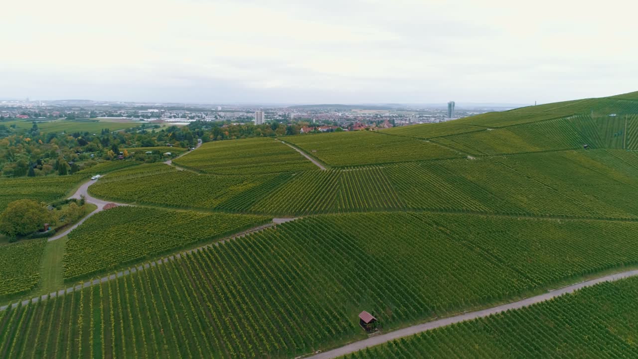 Strade vicino a un vigneto in campagna, ripresa aerea.
