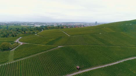Roads-near-a-grape-vineyard-in-the-countryside-aerial