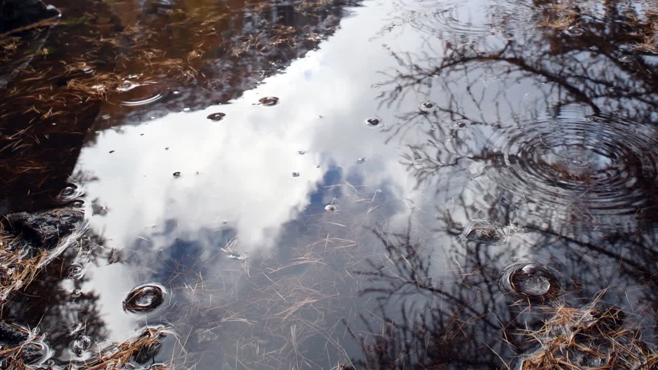 puddle with rain drops