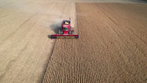 a farmer harvests a crop of soybeans in northeast wisconsin