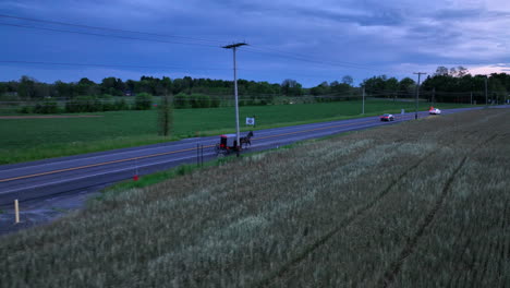 caballo amish y buggy en la carretera
