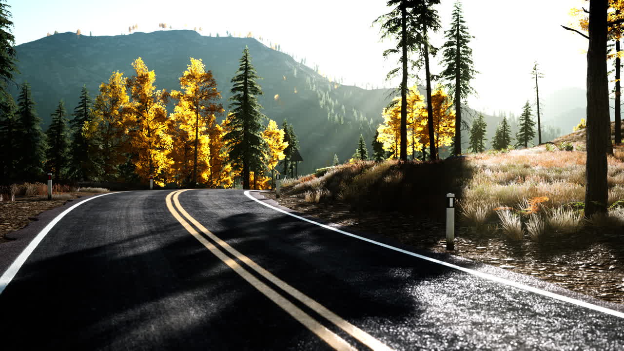 camino del bosque bajo los rayos del sol al atardecer