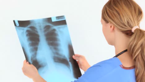 beautiful blondhaired doctor looking at x-rays