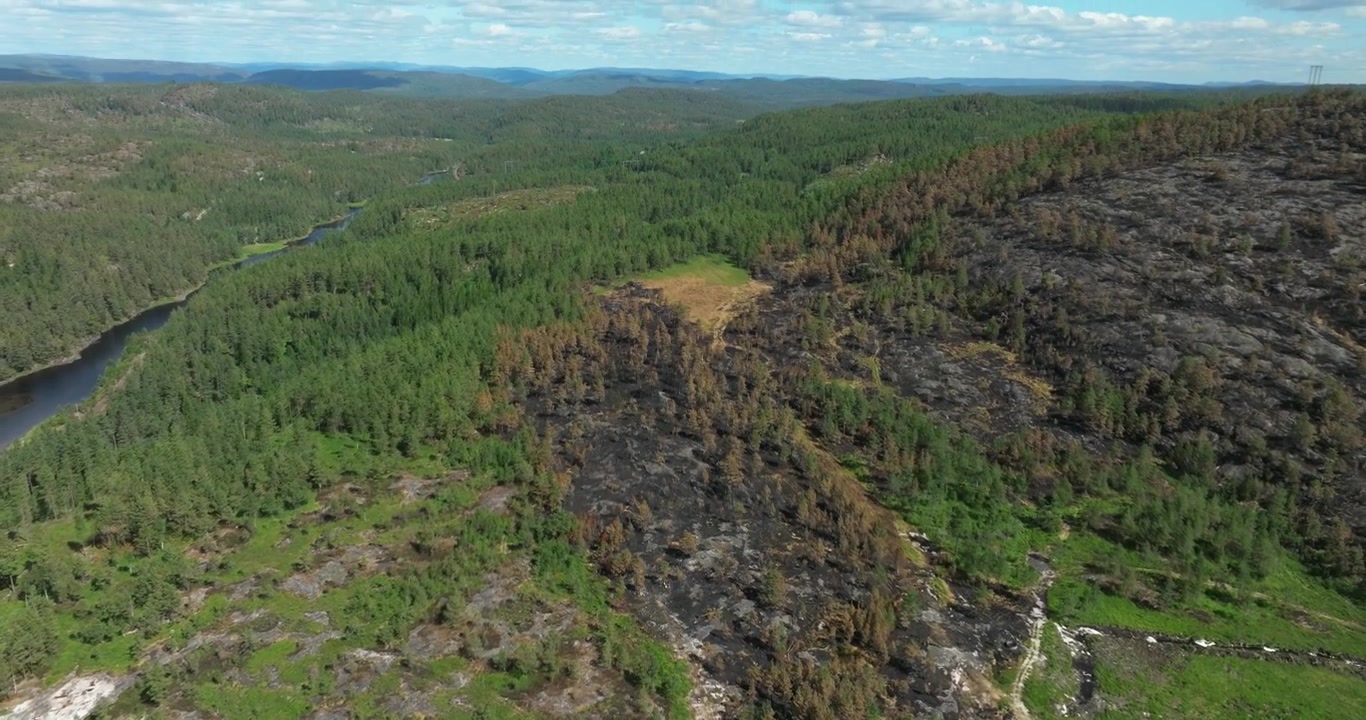 Flyfoto av en skogkledd dal med elv i Birkeland, Norge.
