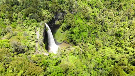 55 metres waterfall aerial fly over rainforest tilt down to the lagoon