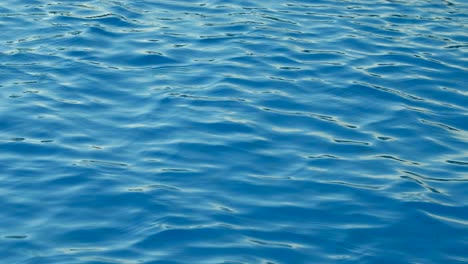 water rippling in swimming pool, clean swimming pool, reflection