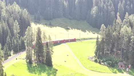 drone tracks red passenger train running through green forest shining in sunlight at davos, kanton graubünden, switzerland