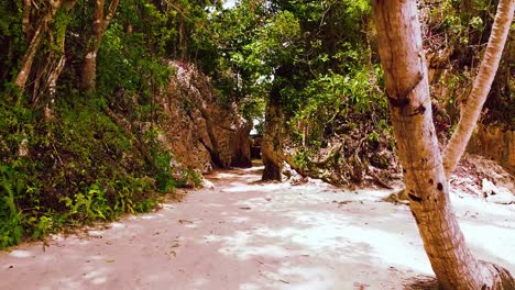 walking point of view through haitises beach resort in dominican republic