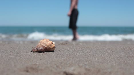 Sand-Und-Muschel-Mit-Wellenhintergrund