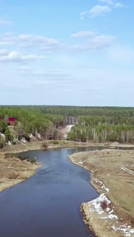 river flowing through a forest landscape