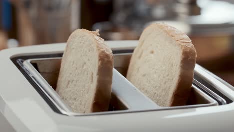 two slices of bread being placed in kitchen toaster for cooking