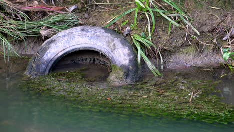 garbage old tire is thrown at river.