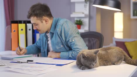 the cat of the man who works remotely at home is sleeping next to him.