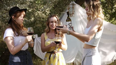 three positive young women spending time outdoors. drinking wine from the wine glasses. sunny, summer day on nature