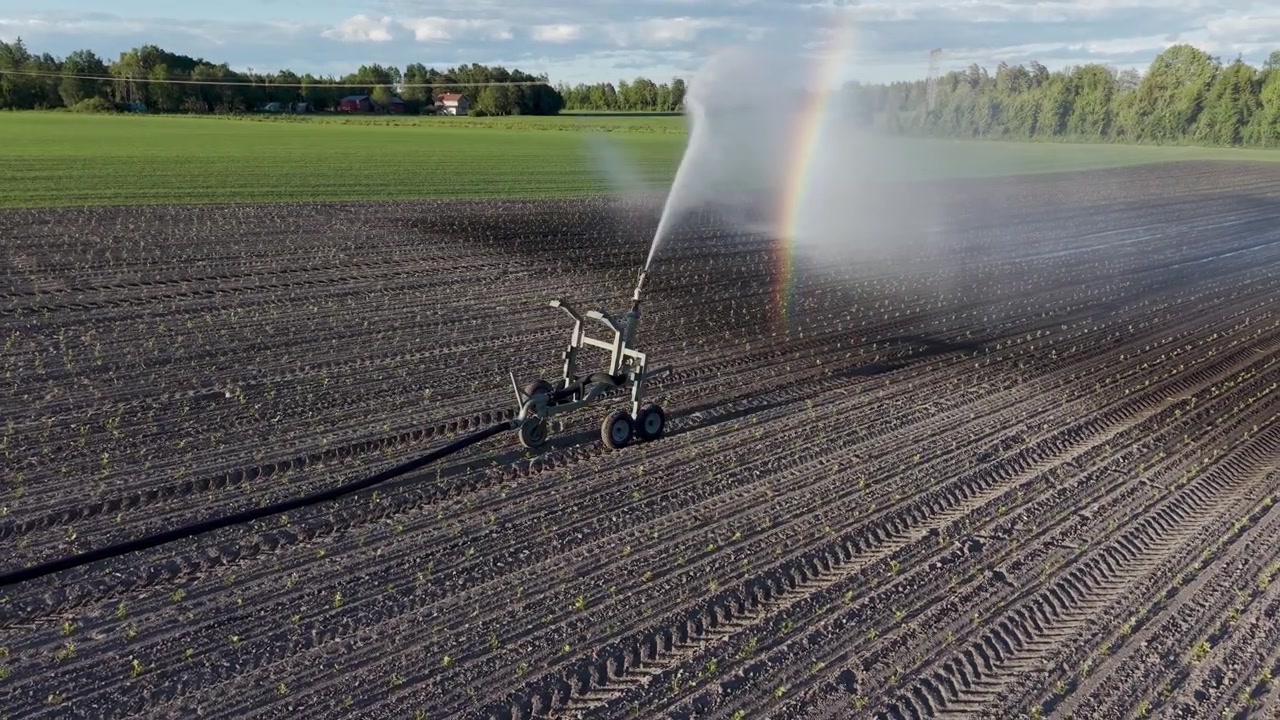 Un irrigatore a ruote irriga un campo sotto il sole.