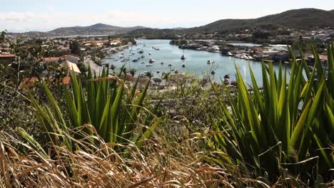 Bushes-on-top-of-the-hill,-overlooking-the-city-of-Cabo-Frio-in-Rio-de-Janeiro-state,-Brazil