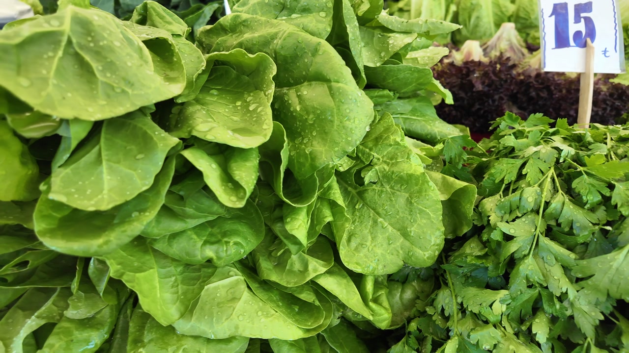 Close-up of Fresh Green Spinach and Parsley with Water Droplets