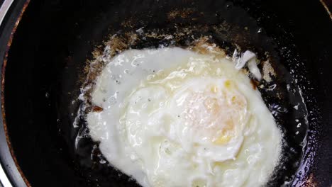 fried eggs in the pan close up