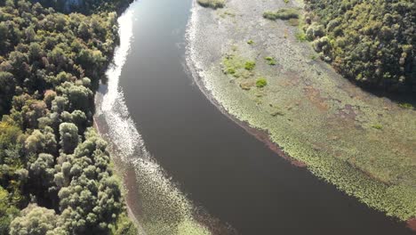 An-aerial-view-of-Lake-Skadar-in-Montenegro-on-the-bend-of-the-river-during-a-beautiful-sunny-day