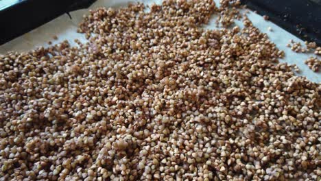 rotating baking tray of brown roasted buckwheat, healthy food source