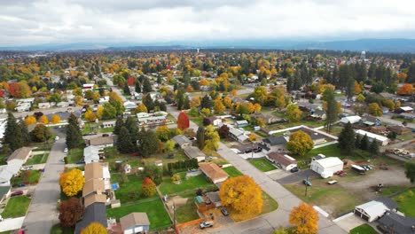 aerial of colorful autumn trees in suburban valley neighborhood with streets and cars