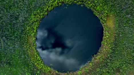 Vista-Aérea-De-Un-Lago-Rodeado-De-Bosque