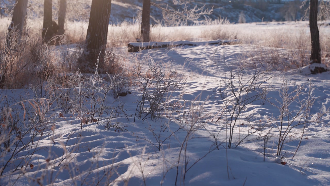 Low winter sunlight glows over a frosted riverbank with snow patches and icy grasses. Bright seasonal scene with crisp air, reflective light, and calm open landscape in cold morning conditions.