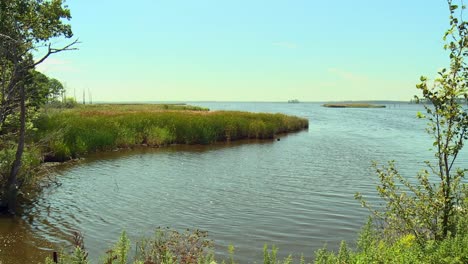 Malerischer-Teich-Im-Blackwater-National-Wildlife-Refuge,-Maryland,-USA---Nach-Oben-Kippen