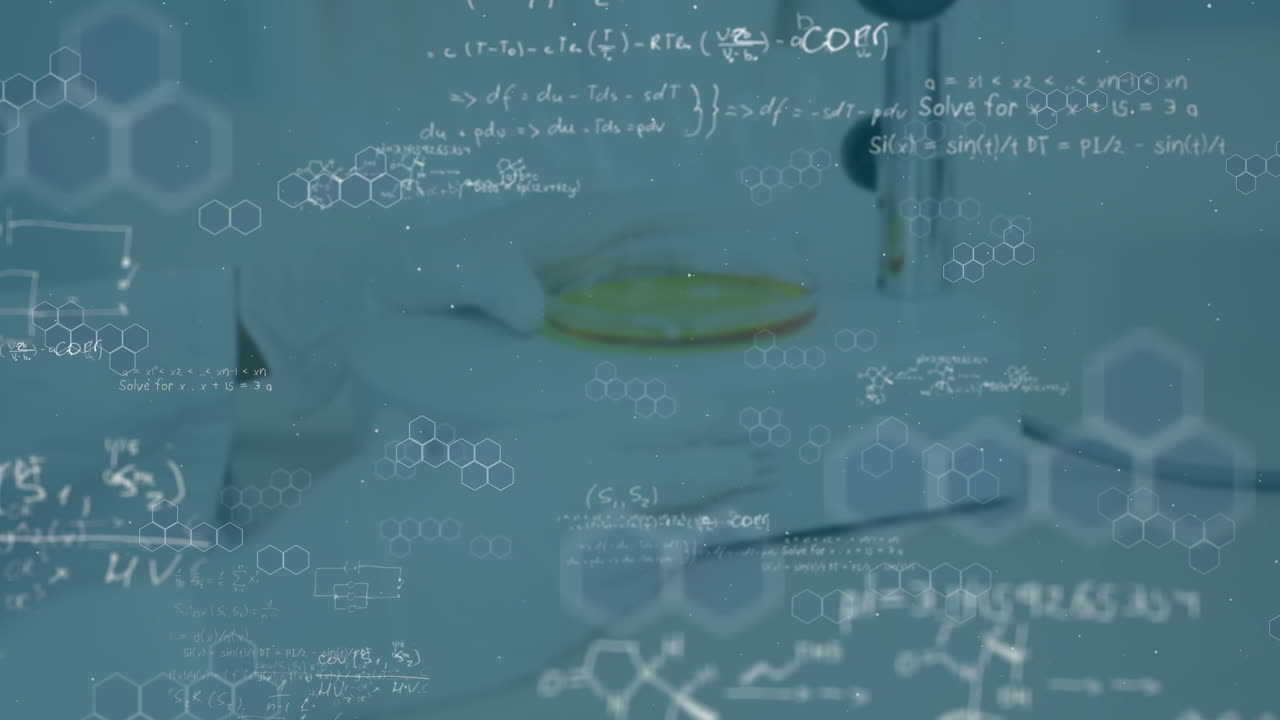 백인 여성 과학자에 대한 수학 방정식의 애니메이션