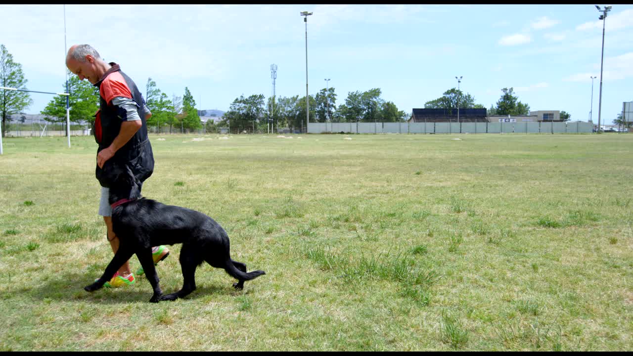 hombre caminando con el perro en el campo 4k