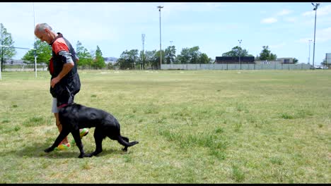 hombre caminando con el perro en el campo 4k